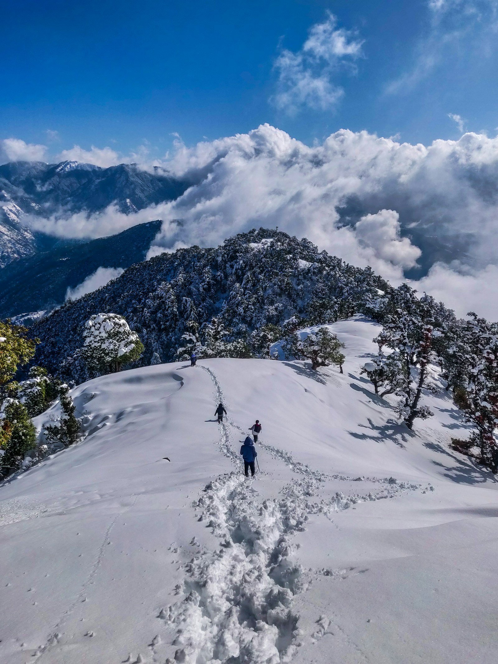 Dayara Bugyal Alpine Meadow Trek — View 3